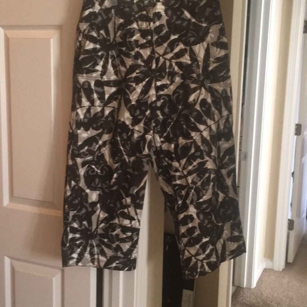Ladies Chico’s tan & light brown pants
